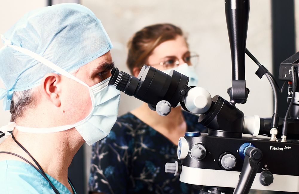 Endodontie Belleville sur Meuse
